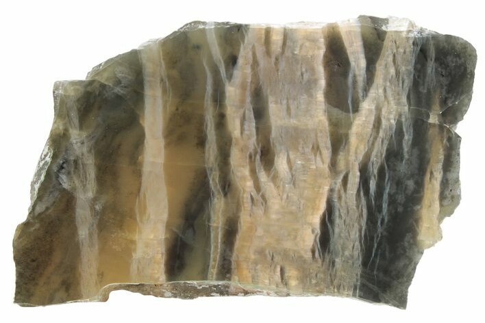 Chatoyant, Polished Pietersite Slab - Arizona #227851